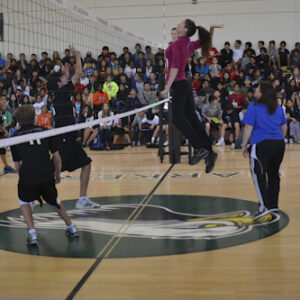 MS_Fac_vs_Student_VBall-027