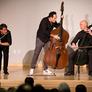 SW_HCS_ProjectTrio_CV