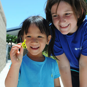 The Harker School Session 1 Week 4 Afternoon Activities by Jessica Ferguson