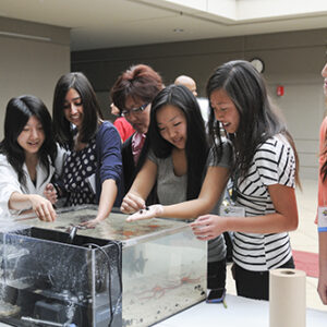 Research Symposium Attracts Silicon Valley Exhibitors; Keynote Speaker Salman Khan Photographer