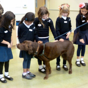 LS_HumaneSocietyDrive-2