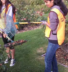 Freshmen Spend Day Volunteering at San Jose Municipal Rose Garden US_RoseGarden_Outreach1411-1