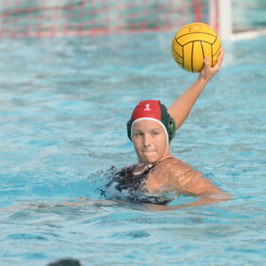 Photo by Mark Kocina