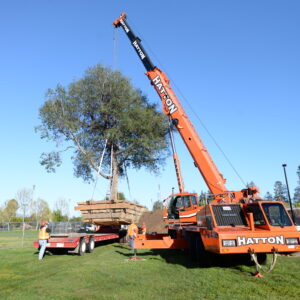 Photo by Mark Kocina