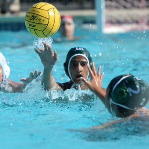 Photo by Mark Kocina