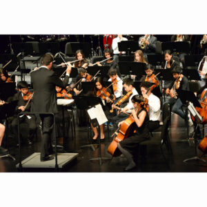 Photo by Mark Kocina