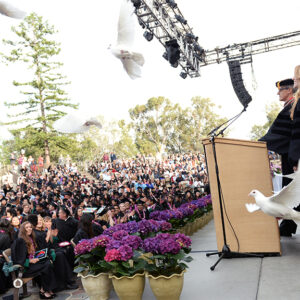 Photo by Mark Kocina