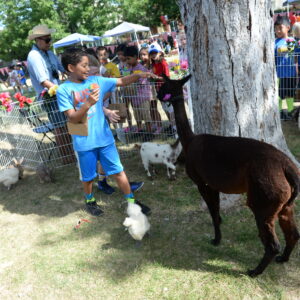 Photo by Mark Kocina