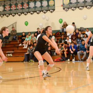 Photo by Mark Kocina