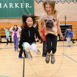 Photo by Mark Kocina