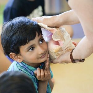 Photo by Mark Kocina