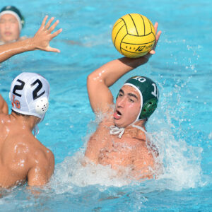 Photo by Mark Kocina