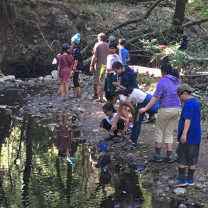 2017-10_MS_Redwood_Glen_MK_0242