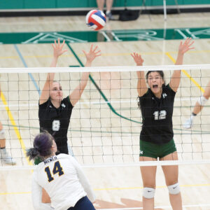 Photo by Mark Kocina