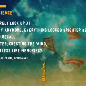 Student poems to appear in public as part of San Jose's 'Litter-ature' art project Litter-Ature-Poem-1-021319