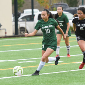 Photo by Mark Kocina