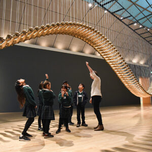 Photo by Mark Kocina