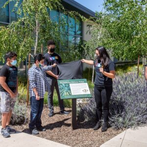 Photo by Jacqueline Orrell