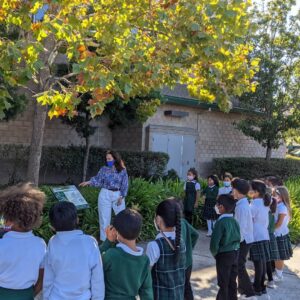 IMG_20211015_171036_265