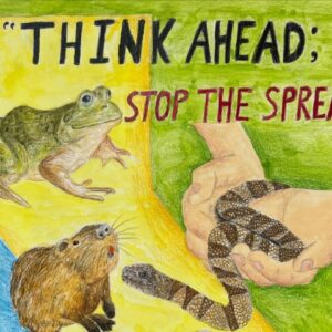 Kayla_Choi_CISAW_Contest