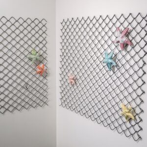 Medini_Halepete_Starvedfish