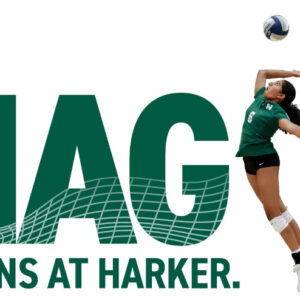 Magic Ad Campaign Volleyball (News)